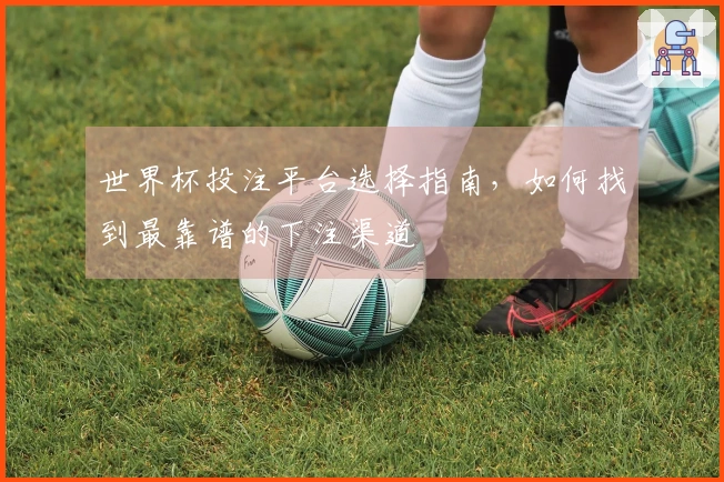 世界杯投注平台选择指南，如何找到最靠谱的下注渠道