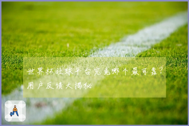 世界杯让球平台究竟哪个最可靠？用户反馈大揭秘