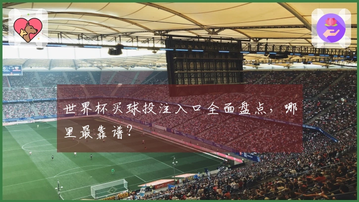 世界杯买球投注入口全面盘点，哪里最靠谱？