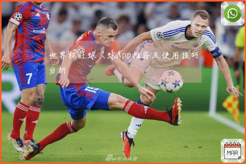 世界杯让球买球App推荐及使用技巧分析