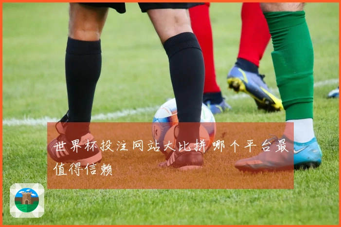 世界杯投注网站大比拼 哪个平台最值得信赖