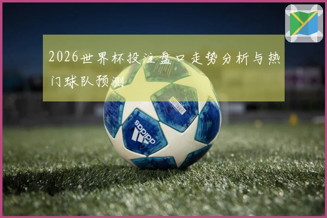 2026世界杯投注盘口走势分析与热门球队预测