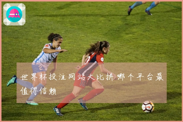 世界杯投注网站大比拼 哪个平台最值得信赖