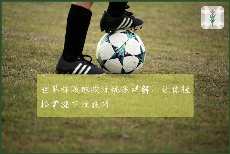 世界杯滚球投注玩法详解，让你轻松掌握下注技巧