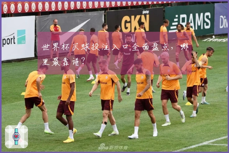 世界杯买球投注入口全面盘点，哪里最靠谱？